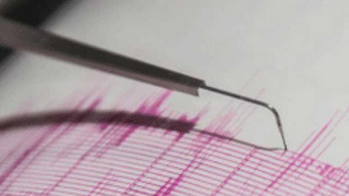 4.6-magnitude tremor jolts Nepal